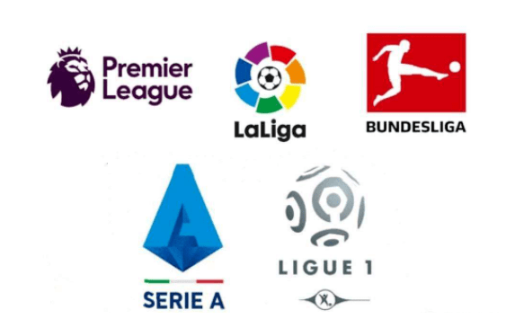 阵容上投入 阵容上投入